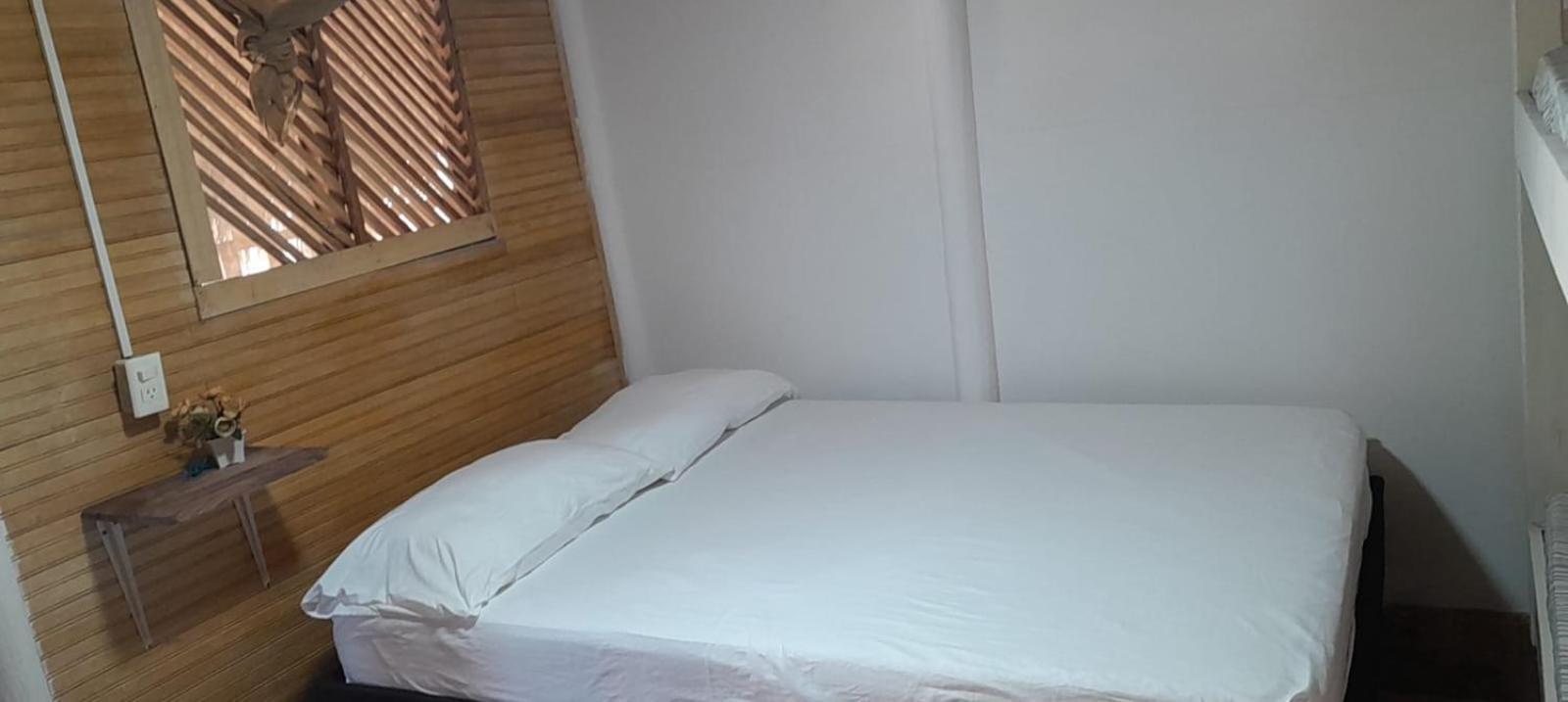 פאלומינו Hostal Paloma Cafe מראה חיצוני תמונה